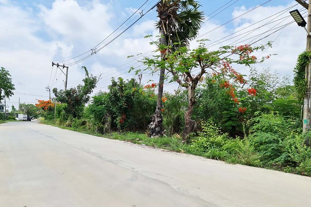 ขายที่ดินเปล่า 200 ตร.ว.  หมู่บ้านฉลองกรุงริเวอร์วิล รีสอร์ท ถนนฉลองกรุง PTT11943