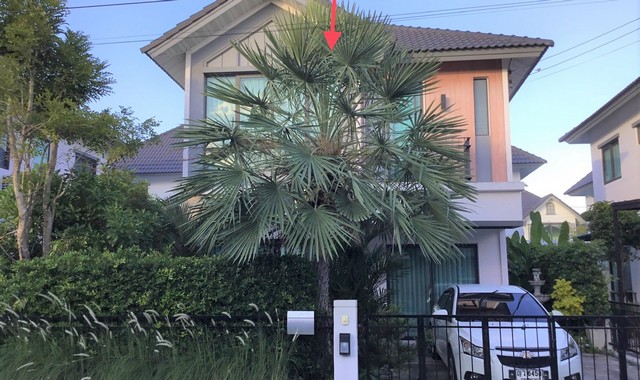 ขายบ้านเดี่ยว  หมู่บ้านเพอร์เฟค เพลส บางนา สมุทรปราการ (PKK02-14934)