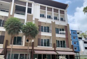 RH023523 ให้เช่า/ขาย โฮมออฟฟิศ 4 ชั้น 3 คูหา BIZTOWN RAMA3–SUKSAWAT