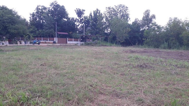 ขายที่ดินถมแล้ว  เหมาะสร้างบ้านสวน  สร้างบ้านขาย  ต.แดงใหญ่  อ.เมืองขอนแก่น