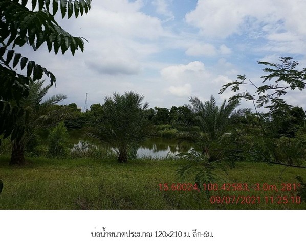 ขายโกดังและบ่อน้ำ อ.ท่าตะโก หัวถนน จ.นครสวรรค์ PSC10496
