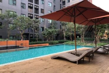 ขายพร้อมผู้เช่ารายรับทุกเดือน เดือนละ 6,500 บาท #ขาย 1.75 ล. เท่านั้น
