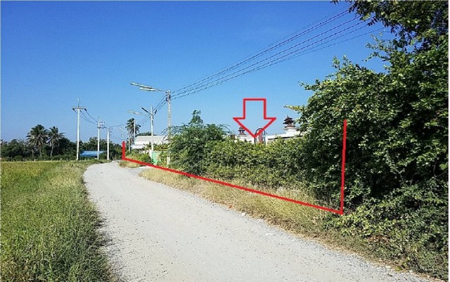 ขายโกดัง กำแพงแสน-นครปฐม ถนนเลียบคลองชลประทาน PSC10680
