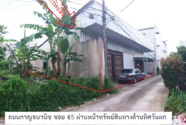 ขายโกดังเมืองสงขลา ตำบลเขารูปช้าง ถนนกาญจนวนิช PSC09991