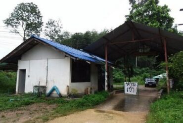 ขายอาคารรับซื้อน้ำยาง ติดถนนเขาวังชิง-บ้านม่วงก็อง สงขลา PSC09862