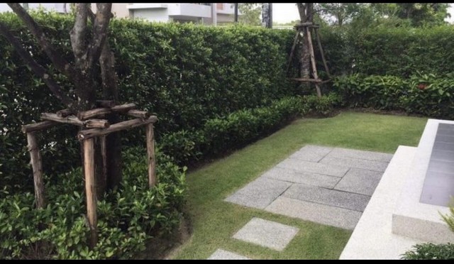 ขายบ้านเดี่ยว หมู่บ้านไลฟ์บางกอกบูเลอวาท ราชพฤกษ์-รัตนาธิเบศร์ ติดถนนราชพฤกษ์ ติดต่อ 0814888799