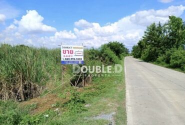 ที่ดินเปล่า 2ไร่ 2งาน ใกล้รพ.ปากเกร็ด2 ซอยสุเหร่าปากคลองลำรี ขาย 18 ล้านบาท Tel : 082-626-8246