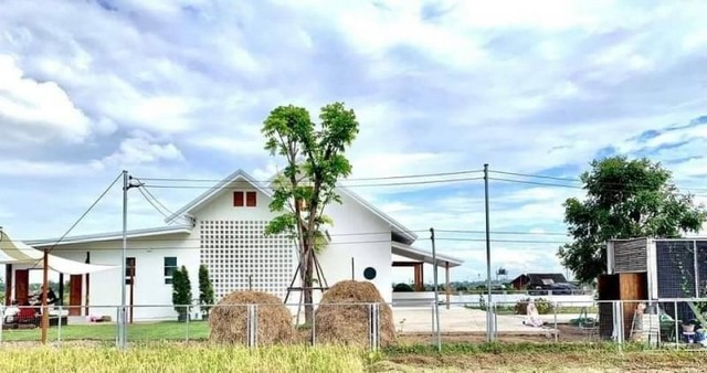 4.9​ ล.เท่านั้น 364 ตรว. ขายบ้านพักตากอากาศ​เชียงใหม่ โซนแม่วาง​
