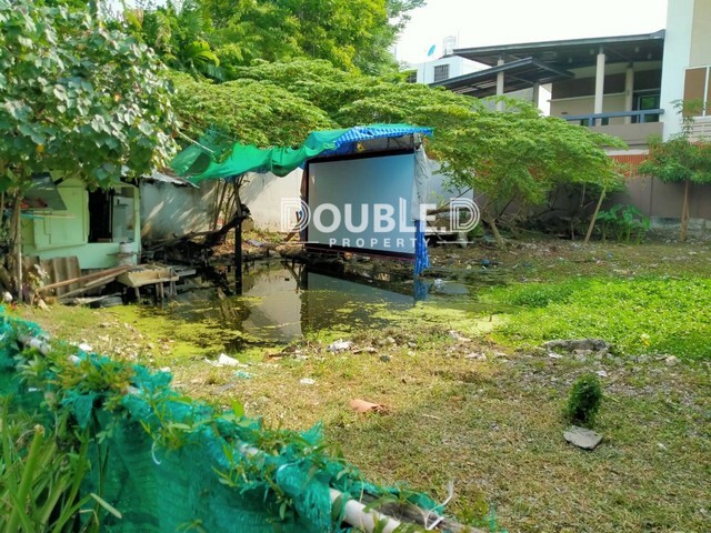 ที่ดินเสนานิคม 26 แยก 5 ขาย 8.6 ล้านบาท Tel : 082-626-8246