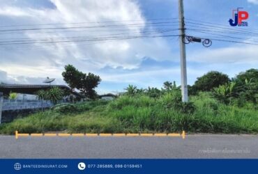 ขาย ที่ดินเปล่า 56วา ต.ขุนทะเล สุราษฎร์ธานี หน้ากว้าง 9 เมตร แปลงสวย ใกล้ราชภัฎสุราษฎร์ธานี 6นาที