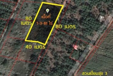 พื้นที่ดิน –  53 Square Wah 0 Ngan 2 ไร่ 420000 – ใกล้ ไร่เก็บตะวัน ราคา ดี