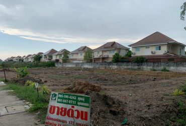 ขายที่ดินเปล่า ขนาด 177 ตรว ถมแล้ว พร้อมปลูกบ้าน ซอยสถาพร เสม็ด ใกล้โรงพยาบาลเอกชล2 น้ำไม่ท่วม เสม็ด เมืองชลบุรี ชลบุรี