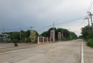 ขายที่ดินในโครงการสวนเอก อ.บางเลน จ.นครปฐม พื้นที่ 234 ตร.ว.