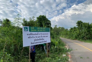 ขายที่ดินทำจัดสรร ราคาถูก น้ำไม่ท่วม ติดถนนดำ ยางชุม  แก่งกระจาน เพชรบุรี