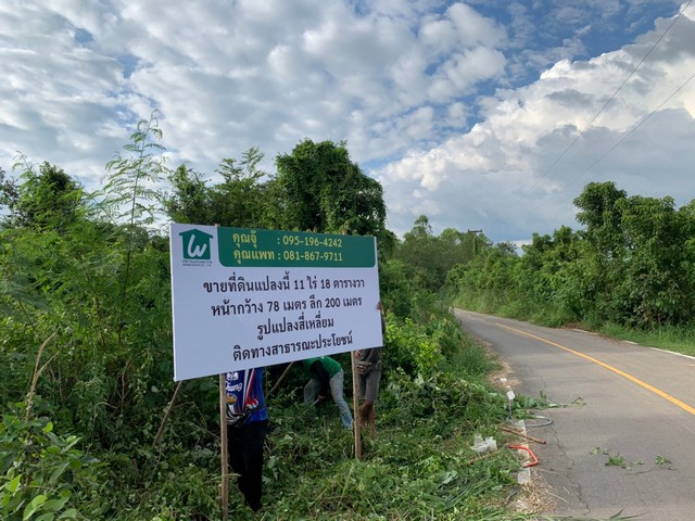 ขายที่ดินทำจัดสรร ราคาถูก น้ำไม่ท่วม ติดถนนดำ ยางชุม  แก่งกระจาน เพชรบุรี