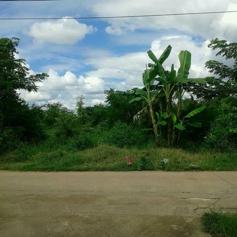 ขายที่ดินทำเลดี 13ไร่ ต.บ้านเลื่อม จ.อุดรธานี (เจ้าของขายเอง)