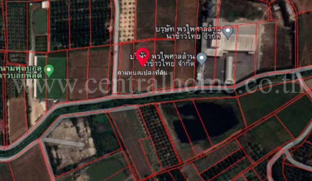 ที่ดินเปล่า เมืองลำพูน ติด สนามฟุตบอล คาวบอยฟิลด์ ราคาดี