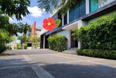 ขายโรงงาน เฟอร์นิเจอร์ คุ้มเกล้า ลาดกระบัง พร้อมใบรง.2 พื้นที่ 2 ไร่ 2 ตารางวาวา รถพ่วงเข้าออกได้ ใกล้ สนามบินสุวรรณภูมิ