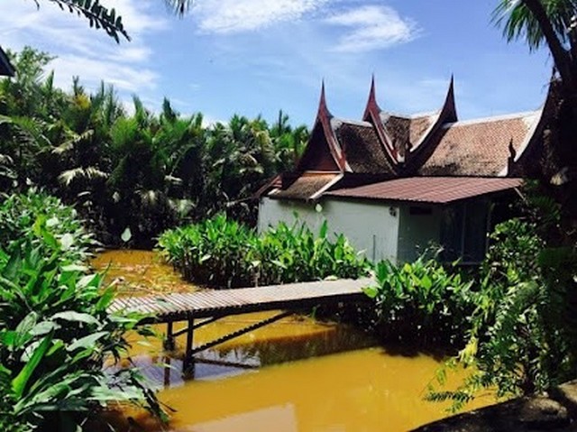 บ้านเรือนไทย พื้นที่ 5 ไร่  มีห้องพักรวม 12 ห้อง ตำบลบางม่วง อำเภอ ตะกั่วป่า จังหวัดพังงา