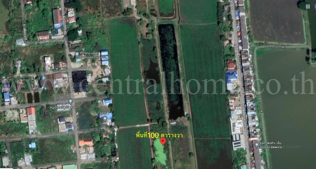 ที่ดิน 100 ตารางวา หนองจอก โคกแฝด ใกล้ โรงเรียนอนันตา