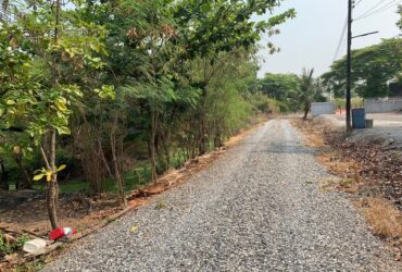 ขายที่ดินขนาด 12ไร่ ที่ดินสวนพร้อมบ้านทรงไทย ที่ดินใจกลางเมืองฉะเชิงเทรา ด้านหลังติดคลอง ด้านหน้าติดถนนสาธารณะ ถนนจักรพรรดิ เมืองฉะเชิงเทรา