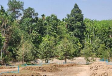 ขายที่สวนผลไม้ผสม 2ไร่ 3งาน พร้อมเก็บผลผลิต ท้ายติดคลอง ด้านหน้าติดถนนสาธารณะ ใกล้เขางวงช้าง เหมาะยามเกษียณ ราคาถูก บางบุตร บ้านค่าย ระยอง