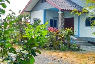 ขายบ้านสวนพร้อมที่ดินเกือบไร่ (ที่ดิน 395 ตร.ว) ราคาแสนดี ขายพิเศษสุด ต.สันกำแพง – แม่ปูคา