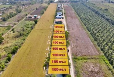 ที่ดิน 100 ตร.วา เพียง 480,000.- คลอง 8 ซอยภุชงค์ หนองเสือ ปทุมธานี