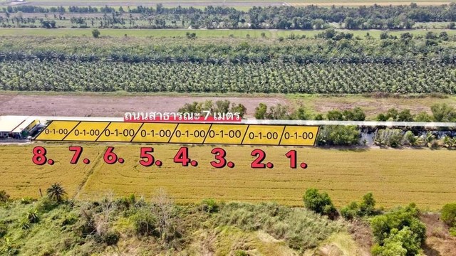 ที่ดิน 100 ตร.วา เพียง 480,000.- คลอง 8 ซอยภุชงค์ หนองเสือ ปทุมธานี