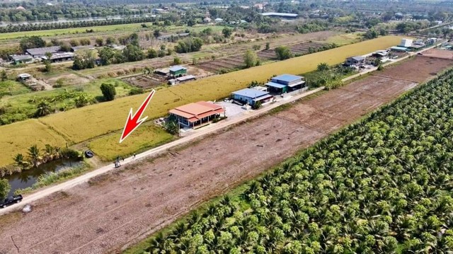 ที่ดิน 100 ตร.วา เพียง 480,000.- คลอง 8 ซอยภุชงค์ หนองเสือ ปทุมธานี