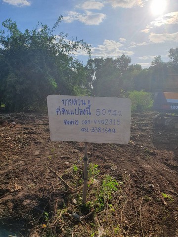 ขายด่วน ที่ดิน ขนาด 50 ตรว วังน้อยรีสอร์ท ต. วังน้อย อ.วังน้อย  จ.พระนครศรีอยุธยา