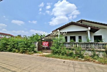 ขายที่ดิน ติวานนท์ แคราย เมืองนนทบุรี 388 ตร.วา ถมแล้ว ติดถนน 2 ซอย ติวานนท์ 44 และ 46 ใกล้รถไฟฟ้าสายสีชมพู ขายถูก 23.28 ล.
