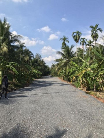 S2303 ขายที่ดิน 6 ไร่กว่า พุทธมณฑลสาย 7 ตำบลหอมเกร็ด อำเภอสามพราน นครปฐม ใกล้วัดหอมเกร็ด S2303