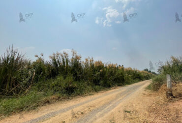 ขาย ที่ดินเปล่า 200 ตร.ว. เหมาะสำหรับสร้างที่อยู่อาศัย ต.คลองห้า อ.คลองหลวง ปทุมธานี