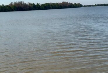 ขายที่ดินติดแม่น้ำบางปะกง 3 ไร่ (ถมแล้ว) ต.บ้านโพธิ์ อ.บ้านโพธิ์ จ.ฉะเชิงเทรา