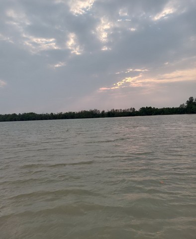 ขายที่ดินติดแม่น้ำบางปะกง  อ.บ้านโพธิ์ จ.ฉะเชิงเทรา