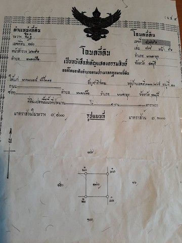 พื้นที่ดิน – ใหญ่ขนาด 300 ตารางวา 0 NGAN 0 ไร่  20000 บ. ใกล้กับ – ทรัพย์ดี