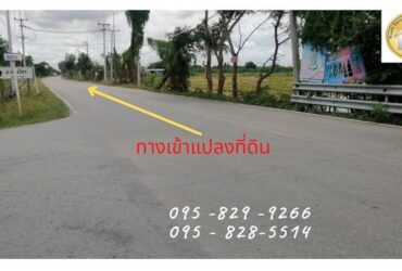 ขายที่ดิน 49-1-29 ไร่ ติดถนนหลักสาธารณะ 12 ม.ใกล้ ม.ชินวัตร สาธารณูปโภค บางเตย-สามโคก ปทุมธานี
