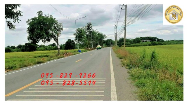ขายที่ดิน 49-1-29 ไร่ ติดถนนหลักสาธารณะ 12 ม.ใกล้ ม.ชินวัตร สาธารณูปโภค บางเตย-สามโคก ปทุมธานี