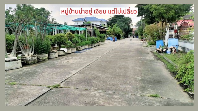 ขายที่ดินถมแล้ว ทำเลดีมาก 100 ตรว.โครงการ 1 เมืองเอก เข้าซอยแค่ 200 ม.ใกล้ม.รังสิต อ.เมือง ปทุมธานี