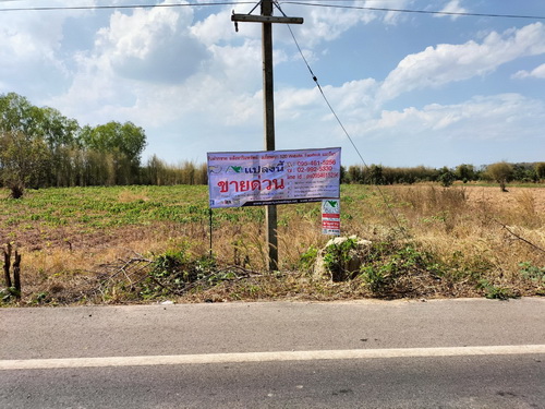 ขายที่ดินใน อ.โกสัมพีนคร จ.กำแพงเพชร 13-2-96 ไร่  ทำเลดี  ติดถนนหลวงชลบทลาดยาง 2 เลน