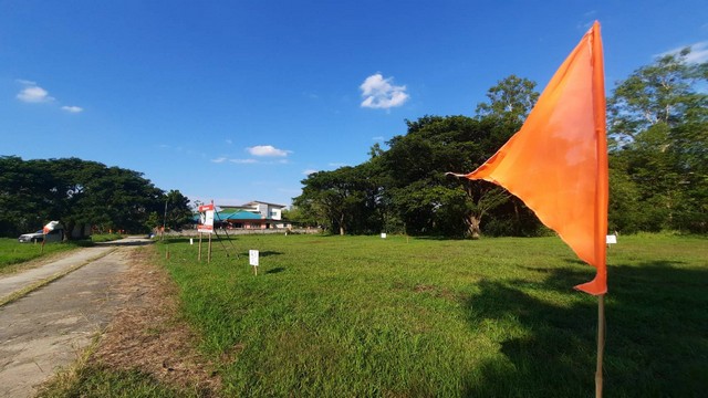 ขายที่ดินทุ่งปากเก็ด64 ตร.ว. ทรงสวย หน้ากว้าง อยู่ในแหล่งชุมชน