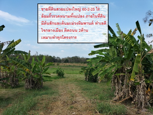 ขายที่ดินสวยแปลงใหญ่ ลดราคาเหลือ 65 ล้าน เนื้อที่ 60-2-25 ไร่ ตำบลท่าเสา  อำเภอเมืองอุตรดิตถ์