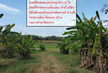 ขายที่ดินสวยแปลงใหญ่ 60-2-25 ไร่ ตำบลท่าเสา  อำเภอเมือง จังหวัดอุตรดิตถ์
