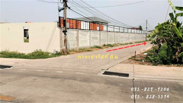 ขายที่ดินถูกถมแล้ว 90 ตรว. ติดถนนซอยเกรียงประเสริฐ เป็นถนนคอนกรีตอย่างดี กว้าง 6 เมตร ไฟฟ้า น้ำประปา พร้อม หนองแขม ภาษีเจริญ กรุงเทพมหานคร