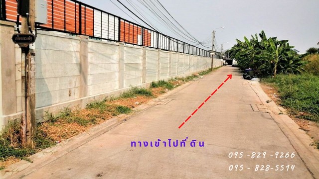 ขายที่ดินถูกถมแล้ว 90 ตรว. ติดถนนซอยเกรียงประเสริฐ เป็นถนนคอนกรีตอย่างดี กว้าง 6 เมตร ไฟฟ้า น้ำประปา พร้อม หนองแขม ภาษีเจริญ กรุงเทพมหานคร
