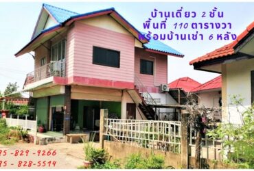 ขายบ้านเดี่ยว 2 ชั้น  เนื้อที่ 110 ตรว.พร้อมรายได้บ้านเช่าแยกเป็นหลัง ๆ เป็นสัดส่วน  6 หลัง อยู่วัดลาดปลาดุก ใกล้เซ็นทรัล เวสเกต  ต.บางรักพัฒนา อ.บางบัวทอง จ.นนทบุรี