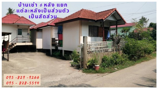 ขายบ้านเดี่ยว 2 ชั้น  เนื้อที่ 110 ตรว.พร้อมรายได้บ้านเช่าแยกเป็นหลัง ๆ เป็นสัดส่วน  6 หลัง อยู่วัดลาดปลาดุก ใกล้เซ็นทรัล เวสเกต  ต.บางรักพัฒนา อ.บางบัวทอง จ.นนทบุรี
