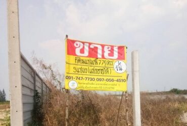 ขายที่ดินถมแล้ว 3 แปลง เนื้อที่ 775 ตรว. มีรััวกำแพงรอบที่ดิน  ซอย บ่อ ดิน เจ.อาร์ ต.ชัยมงคล อ.เมือง สมุทรสาคร