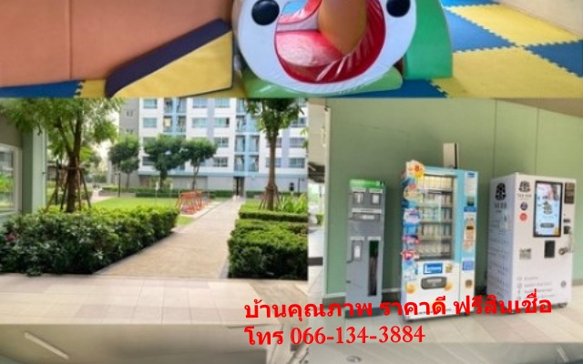 ขายคอนโด ประเวศ กรุงเทพมหานคร  โครงการ ลุมพินี วิลล์ อ่อนนุช พัฒนาการ    344
